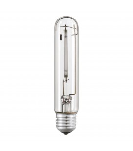 Ampoule E14 12V 25W Dimmable, 2700K Blanc Chaud, 150LM, Forme T22